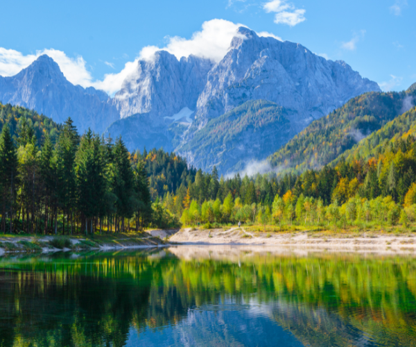 The Value of Unplugging